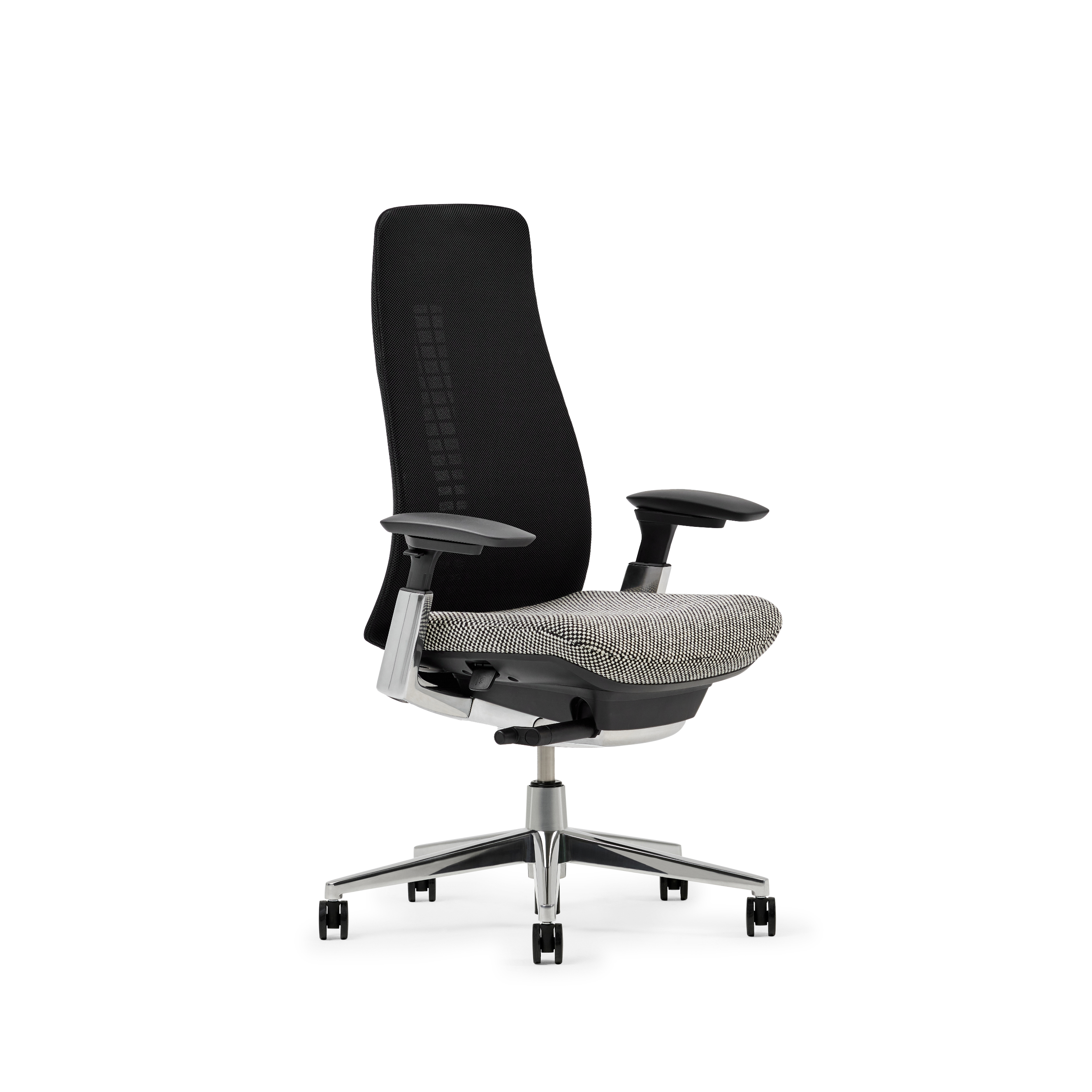 Haworth fern with 2025 adjustable lumbar support