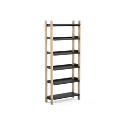 The Shelving System featured,{tag: 'tall', shelf_color: 'Black', wood_type: 'Ash' }